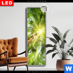 Leuchtbild Dia Im Frischen Gruenen Wald Schmal Produktvorschau mit dem Bild Im frischen grünen Wald im Format Schmal.