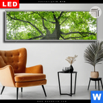 Leuchtbild Dia Imposanter Baum Panorama Produktvorschau mit dem Bild Imposanter Baum im Format Panorama.