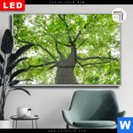 Leuchtbild Dia Imposanter Baum Querformat Produktvorschau mit dem Bild Imposanter Baum im Format Querformat.