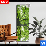 Leuchtbild Dia Imposanter Baum Schmal Produktvorschau mit dem Bild Imposanter Baum im Format Schmal.