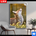 Leuchtbild Dia Junger Fuchs Hochformat Produktvorschau mit dem Bild Junger Fuchs im Format Hochformat.