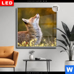 Leuchtbild Dia Junger Fuchs Quadrat Produktvorschau mit dem Bild Junger Fuchs im Format Quadrat.