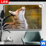 Leuchtbild Dia Junger Fuchs Querformat Produktvorschau mit dem Bild Junger Fuchs im Format Querformat.