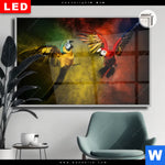 Leuchtbild Dia Kampf Der Papageien Querformat Produktvorschau mit dem Bild Kampf der Papageien im Format Querformat.