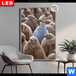 Leuchtbild Dia Koenigspinguine Hochformat Produktvorschau mit dem Bild Königspinguine im Format Hochformat.