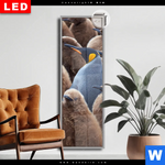 Leuchtbild Dia Koenigspinguine Schmal Produktvorschau mit dem Bild Königspinguine im Format Schmal.