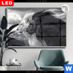 Leuchtbild Dia Kontrast Loewenkraft Querformat Produktvorschau mit dem Bild Kontrast Löwenkraft im Format Querformat.