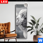 Leuchtbild Dia Kontrast Loewenkraft Schmal Produktvorschau mit dem Bild Kontrast Löwenkraft im Format Schmal.