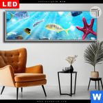 Leuchtbild Dia Korallenriff Im Ozean Panorama Produktvorschau mit dem Bild Korallenriff im Ozean im Format Panorama.