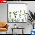 Leuchtbild Dia Kraeuter In Flaschen Quadrat Produktvorschau mit dem Bild Kräuter in Flaschen im Format Quadrat.