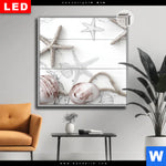 Leuchtbild Dia Kuestenfeeling Muschel Quadrat Produktvorschau mit dem Bild Küstenfeeling - Muschel im Format Quadrat.