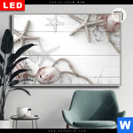 Leuchtbild Dia Kuestenfeeling Muschel Querformat Produktvorschau mit dem Bild Küstenfeeling - Muschel im Format Querformat.