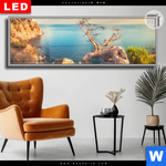 Leuchtbild Dia Kuestenlandschaft Mit Altem Baum Panorama Produktvorschau mit dem Bild Küstenlandschaft mit altem Baum im Format Panorama.