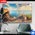 Leuchtbild Dia Kuestenlandschaft Mit Altem Baum Querformat Produktvorschau mit dem Bild Küstenlandschaft mit altem Baum im Format Querformat.