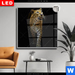 Leuchtbild Dia Leopard In Der Dunkelheit Quadrat Produktvorschau mit dem Bild Leopard in der Dunkelheit im Format Quadrat.