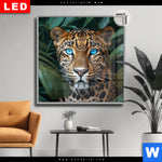 Leuchtbild Dia Leopard Mit Blauen Augen Quadrat Produktvorschau mit dem Bild Leopard mit blauen Augen im Format Quadrat.