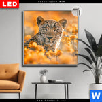 Leuchtbild Dia Leopardentraum In Orange Quadrat Produktvorschau mit dem Bild Leopardentraum in Orange im Format Quadrat.