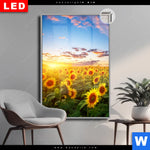 Leuchtbild Dia Leuchtend Gelbe Sonnenblumen Am Abend Hochformat Produktvorschau mit dem Bild Leuchtend gelbe Sonnenblumen am Abend im Format Hochformat.