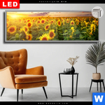 Leuchtbild Dia Leuchtend Gelbe Sonnenblumen Am Abend Panorama Produktvorschau mit dem Bild Leuchtend gelbe Sonnenblumen am Abend im Format Panorama.