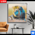 Leuchtbild Dia Loewe Farben Der Wildnis Quadrat Produktvorschau mit dem Bild Löwe - Farben der Wildnis im Format Quadrat.