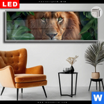 Leuchtbild Dia Loewe Im Gruenen Regenwald Panorama Produktvorschau mit dem Bild Löwe im grünen Regenwald im Format Panorama.