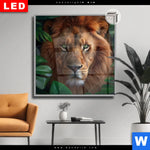 Leuchtbild Dia Loewe Im Gruenen Regenwald Quadrat Produktvorschau mit dem Bild Löwe im grünen Regenwald im Format Quadrat.
