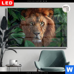 Leuchtbild Dia Loewe Im Gruenen Regenwald Querformat Produktvorschau mit dem Bild Löwe im grünen Regenwald im Format Querformat.