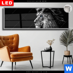 Leuchtbild Dia Loewe Mit Blauen Augen Panorama Produktvorschau mit dem Bild Löwe mit blauen Augen im Format Panorama.