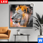Leuchtbild Dia Loewe Savannenzauber In Afrika Quadrat Produktvorschau mit dem Bild Löwe - Savannenzauber in Afrika im Format Quadrat.