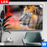 Leuchtbild Dia Loewe Savannenzauber In Afrika Querformat Produktvorschau mit dem Bild Löwe - Savannenzauber in Afrika im Format Querformat.