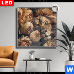 Leuchtbild Dia Loewe Schlaeft In Blueten Quadrat Produktvorschau mit dem Bild Löwe schläft in Blüten im Format Quadrat.