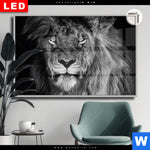 Leuchtbild Dia Loewe Schwarzweiss Querformat Produktvorschau mit dem Bild Löwe Schwarzweiß im Format Querformat.