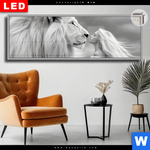 Leuchtbild Dia Loewe Wildnis Liebe Panorama Produktvorschau mit dem Bild Löwe - Wildnis Liebe im Format Panorama.