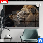 Leuchtbild Dia Loewen Staerke Und Zaertlichkeit Querformat Produktvorschau mit dem Bild Löwen - Stärke und Zärtlichkeit im Format Querformat.