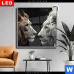 Leuchtbild Dia Loewen Zweisamkeit Quadrat Produktvorschau mit dem Bild Löwen - Zweisamkeit im Format Quadrat.