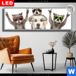 Leuchtbild Dia Lustige Waschbaeren Mit Hund Panorama Produktvorschau mit dem Bild Lustige Waschbären mit Hund im Format Panorama.