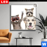 Leuchtbild Dia Lustige Waschbaeren Mit Hund Quadrat Produktvorschau mit dem Bild Lustige Waschbären mit Hund im Format Quadrat.