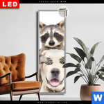 Leuchtbild Dia Lustige Waschbaeren Mit Hund Schmal Produktvorschau mit dem Bild Lustige Waschbären mit Hund im Format Schmal.