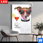 Leuchtbild Dia Lustiger Hund Mit Drink Hochformat Produktvorschau mit dem Bild Lustiger Hund mit Drink im Format Hochformat.