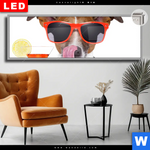 Leuchtbild Dia Lustiger Hund Mit Drink Panorama Produktvorschau mit dem Bild Lustiger Hund mit Drink im Format Panorama.