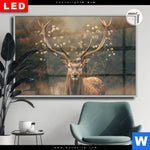 Leuchtbild Dia Magischer Hirsch Im Waldrand Querformat Produktvorschau mit dem Bild Magischer Hirsch im Waldrand im Format Querformat.