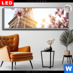 Leuchtbild Dia Mangnolien In Paris Panorama Produktvorschau mit dem Bild Mangnolien in Paris im Format Panorama.