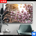 Leuchtbild Dia Mangnolien In Paris Querformat Produktvorschau mit dem Bild Mangnolien in Paris im Format Querformat.