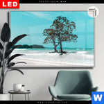 Leuchtbild Dia Mangrovenbaum Im Wasser Querformat Produktvorschau mit dem Bild Mangrovenbaum im Wasser im Format Querformat.