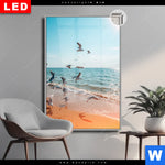 Leuchtbild Dia Moewen Am Strand Hochformat Produktvorschau mit dem Bild Möwen am Strand im Format Hochformat.