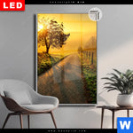 Leuchtbild Dia Morgenspaziergang Hochformat Produktvorschau mit dem Bild Morgenspaziergang im Format Hochformat.