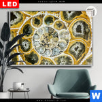 Leuchtbild Dia Muschel Fossil No 1 Querformat Produktvorschau mit dem Bild Muschel Fossil No. 1 im Format Querformat.