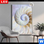 Leuchtbild Dia Muschel Fossil No 2 Hochformat Produktvorschau mit dem Bild Muschel Fossil No. 2 im Format Hochformat.