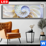 Leuchtbild Dia Muschel Fossil No 2 Panorama Produktvorschau mit dem Bild Muschel Fossil No. 2 im Format Panorama.