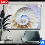 Leuchtbild Dia Muschel Fossil No 2 Querformat Produktvorschau mit dem Bild Muschel Fossil No. 2 im Format Querformat.